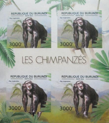 Poštové známky Burundi 2012 Šimpanz uèenlivý neperf. Mi# 2856 B Bogen