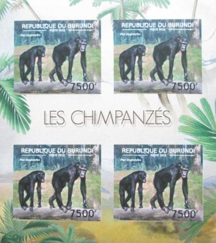 Poštové známky Burundi 2012 Šimpanz uèenlivý neperf. Mi# 2857 B Bogen