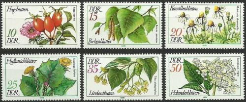 Poštové známky DDR 1978 Lieèivé rastliny Mi# 2287-92