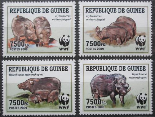 Poštové známky Guinea 2009 Prase pralesní, WWF Mi# 6714-17 Kat 10€