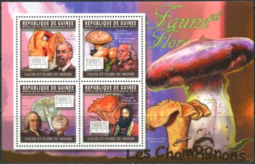 Poštovní známky Guinea 2011 Houby Mi# 8269-72 Kat 12€