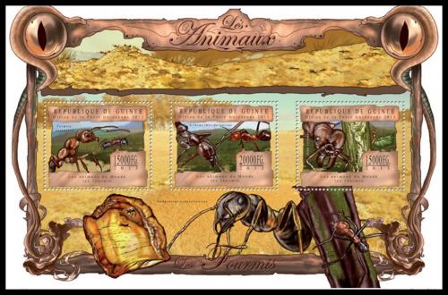 Poštové známky Guinea 2013 Mravenci Mi# 9789-91 Kat 20€