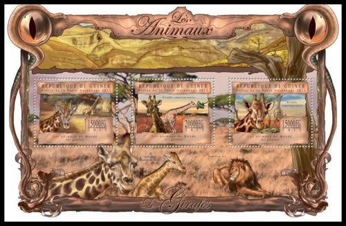 Poštové známky Guinea 2013 Žirafy Mi# 9829-31 Kat 20€