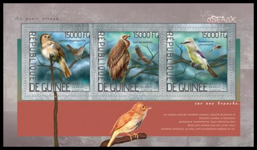 Poštové známky Guinea 2014 Vtáci Mi# 10343-45 Kat 18€