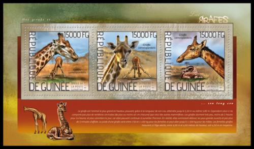 Poštové známky Guinea 2014 Žirafy Mi# 10367-69 Kat 18€