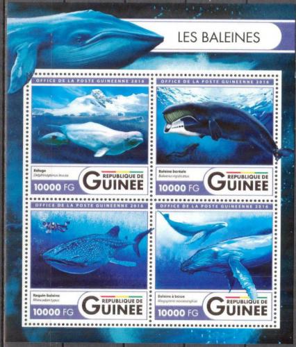 Poštové známky Guinea 2016 Ve¾ryby Mi# 11941-44 Kat 16€