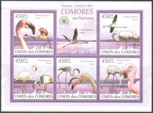 Poštové známky Komory 2009 Plameòáci Mi# 2402-06 Kat 10€ 