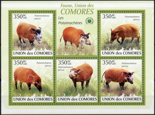 Poštové známky Komory 2009 Štìtkoun africký Mi# 2430-34 Kat 9€