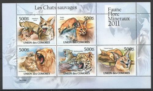 Poštové známky Komory 2011 Maèkovité šelmy Mi# 3058-62 Bogen Kat 12€