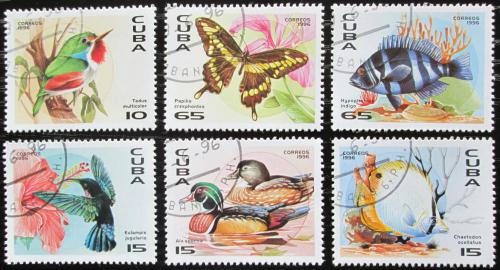 Potov znmky Kuba 1996 Fauna Karibiku Mi# 3926-31