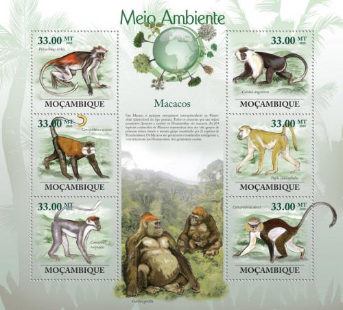 Poštové známky Mozambik 2010 Opice Mi# 3620-25