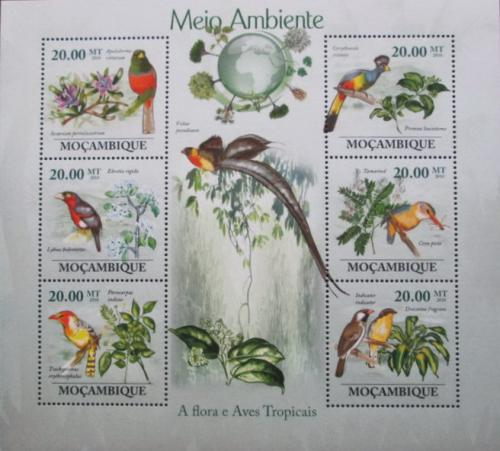 Poštové známky Mozambik 2010 Tropiètí ptáci Mi# 3489-94