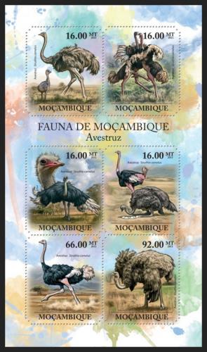 Poštové známky Mozambik 2011 Pštrosi Mi# 4903-08 Kat 12€