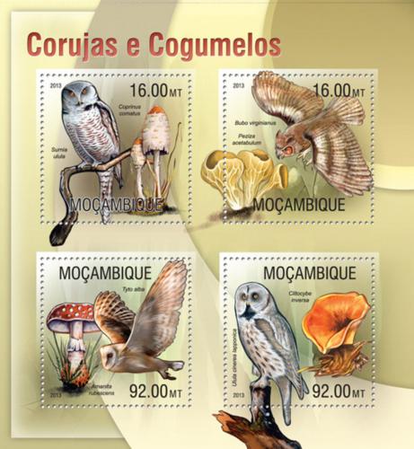 Poštové známky Mozambik 2013 Sovy a huby Mi# 6672-75 Kat 13€