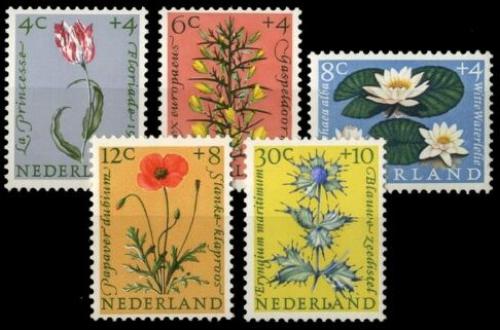 Poštové známky Holandsko 1960 Kvety Mi# 746-50 Kat 15€