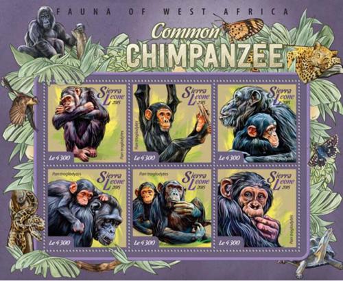Poštové známky Sierra Leone 2015 Šimpanzi Mi# 6090-95 Kat 11.50€