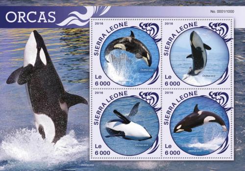 Poštové známky Sierra Leone 2016 Kosatky Mi# 6868-71 Kat 11€