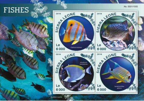 Poštové známky Sierra Leone 2016 Ryby Mi# 6818-21 Kat 11€