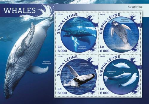 Poštové známky Sierra Leone 2016 Ve¾ryby Mi# 6863-66 Kat 11€