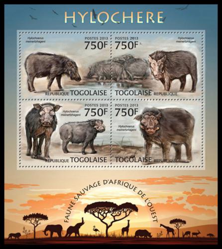 Poštové známky Togo 2013 Prase pralesní Mi# 4836-39 Kat 12€